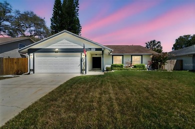 Lake Tarpon Home Sale Pending in Palm Harbor Florida