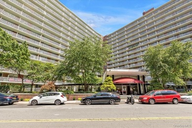 Welcome to Residence 6A at Park Plaza, a sun-filled 2-bedroom - photo 22