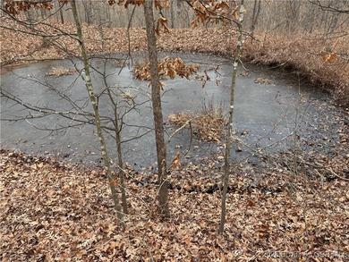 (private lake, pond, coastal) Acreage For Sale in Lebanon Missouri