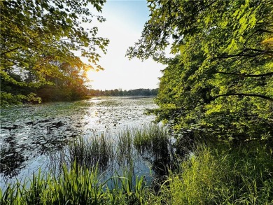 Lake Lot For Sale in Rice Lake, Wisconsin