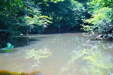 Approximately 3 acres on the North River in The Retreat at - photo 14