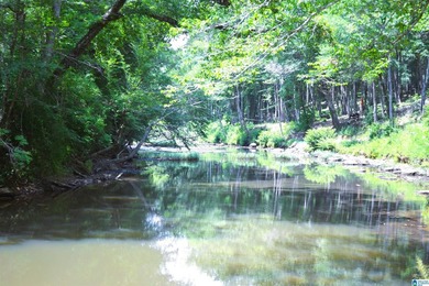Approximately 3 acres on the North River in The Retreat at - photo 15