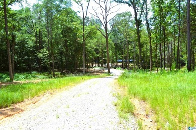 Approximately 3 acres on the North River in The Retreat at - photo 24