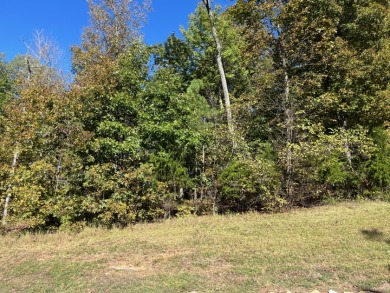 Beautiful Building Lot in Patriots Landing Subdivision! - photo 5