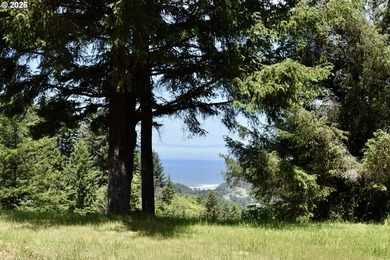 End-of-the-road privacy and breathtaking ocean views await on - photo 2