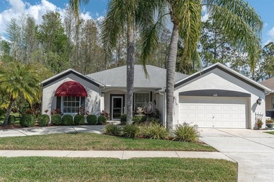 (private lake, pond, coastal) Home For Sale in Trinity Florida