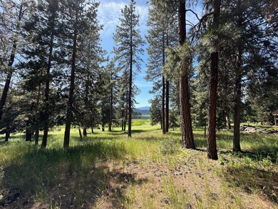 Upper Klamath Lake Lot For Sale in Klamath Falls Oregon
