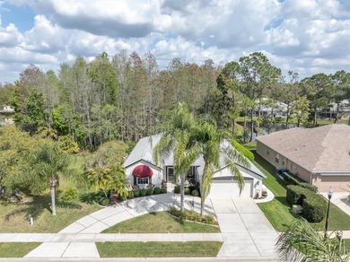 (private lake, pond, coastal) Home For Sale in Trinity Florida
