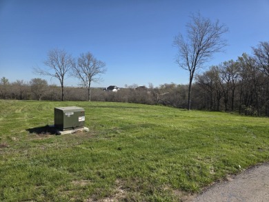 Build Your Dream on 3 Acres in Barefoot Bay - photo 21