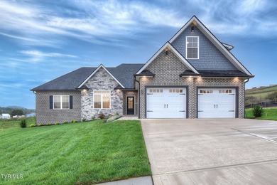 Boone Lake Home Sale Pending in Johnson City Tennessee