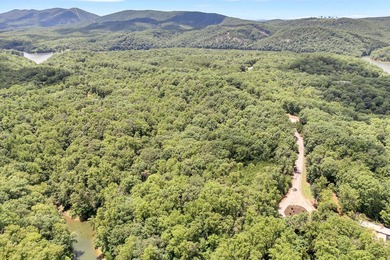 Nice Waterfront lot with 1.36 acres in beautiful Eagle Pointe - photo 20