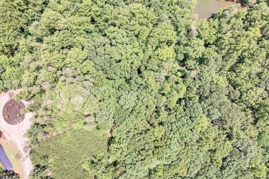Nice Waterfront lot with 1.36 acres in beautiful Eagle Pointe - photo 26