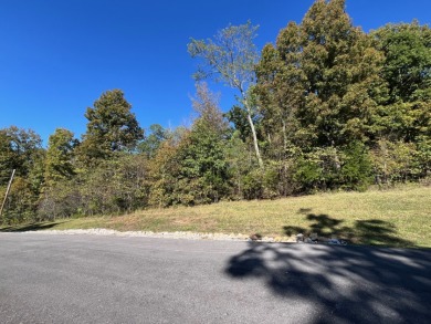 Beautiful Building Lot in Patriots Landing Subdivision! - photo 4