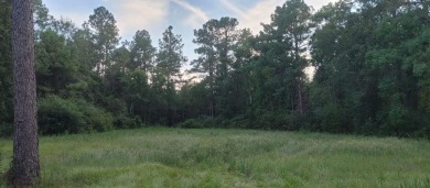 Lake Lot For Sale in Carriere, Mississippi