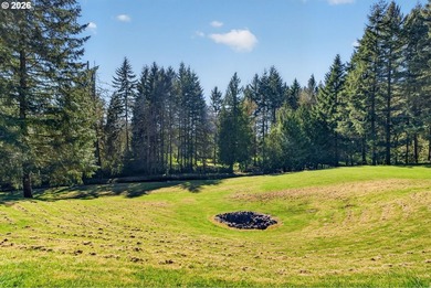 Private Woodland Retreat with Creek, Pond, *Private Island*, and - photo 41