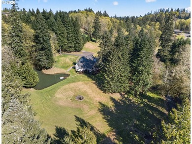 Private Woodland Retreat with Creek, Pond, *Private Island*, and - photo 43