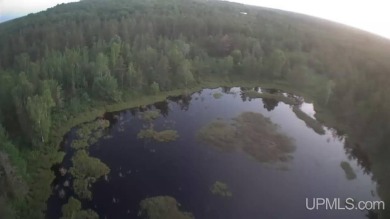 (private lake, pond, creek) Acreage For Sale in Gwinn Michigan