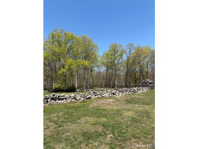 A rare opportunity to acquire a historic Connecticut landmark - photo 4