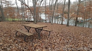 !.6 acres on beautiful Lake of the Ozarks. Gentle sloping lot - photo 2