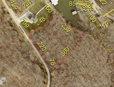 !.6 acres on beautiful Lake of the Ozarks. Gentle sloping lot - photo 4