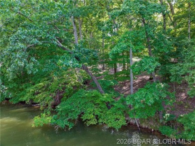 !.6 acres on beautiful Lake of the Ozarks. Gentle sloping lot - photo 5
