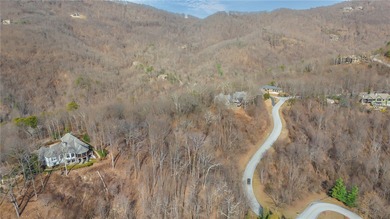 This exceptional homesite boasts breathtaking mountain views - photo 5
