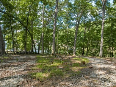!.6 acres on beautiful Lake of the Ozarks. Gentle sloping lot - photo 6