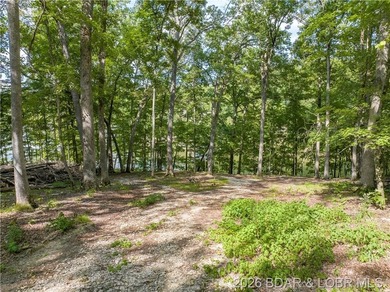 !.6 acres on beautiful Lake of the Ozarks. Gentle sloping lot - photo 7
