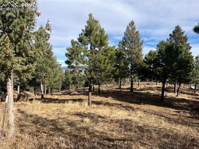Hard to find private, mitigated lot in the gated upscale - photo 3