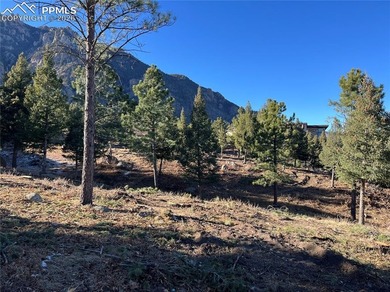 Hard to find private, mitigated lot in the gated upscale - photo 5