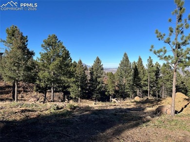 Hard to find private, mitigated lot in the gated upscale - photo 7