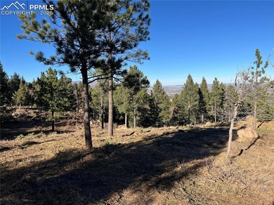 Hard to find private, mitigated lot in the gated upscale - photo 8
