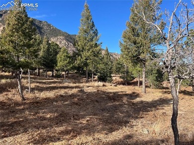 Hard to find private, mitigated lot in the gated upscale - photo 9