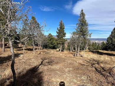 Hard to find private, mitigated lot in the gated upscale - photo 10