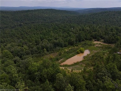 (private lake, pond, creek) Commercial For Sale in Wister Oklahoma