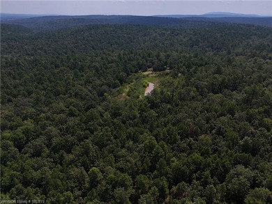 Enjoy secluded mountain views with a pond on this beautiful 16 - photo 2