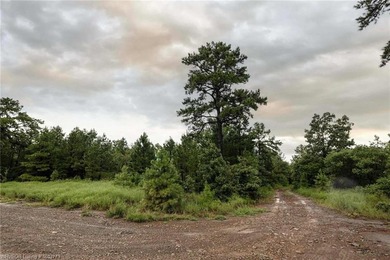 Enjoy secluded mountain views with a pond on this beautiful 16 - photo 5