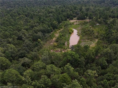 Enjoy secluded mountain views with a pond on this beautiful 16 - photo 6
