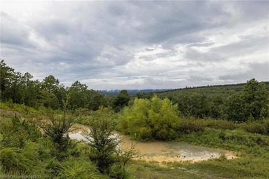 Enjoy secluded mountain views with a pond on this beautiful 16 - photo 7