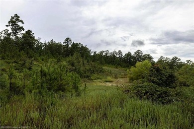 Enjoy secluded mountain views with a pond on this beautiful 16 - photo 9