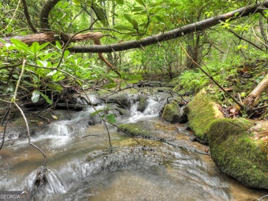 (private lake, pond, creek) Acreage For Sale in Mineral Bluff Georgia
