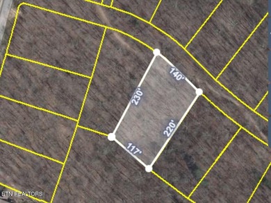 (private lake, pond, creek) Lot For Sale in Loudon Tennessee