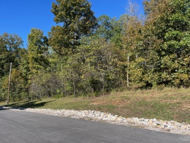 Beautiful Building Lot in Patriots Landing Subdivision! - photo 2