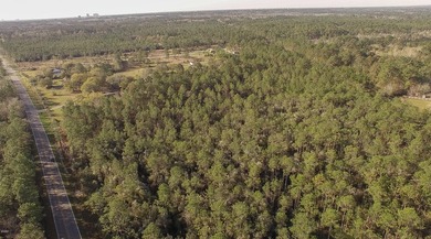 Excellent development site - surrounded by Bridgewood and - photo 14