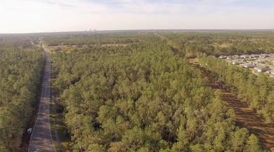Excellent development site - surrounded by Bridgewood and - photo 18