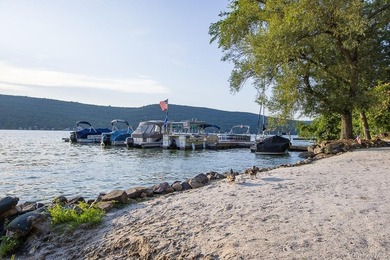 A Serene Forest Park Sanctuary Nestled in the trees with views - photo 25