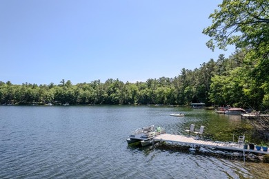 Discover a rare gem on the pristine shores of Vandercook Lake in - photo 33