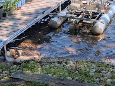 Discover a rare gem on the pristine shores of Vandercook Lake in - photo 43