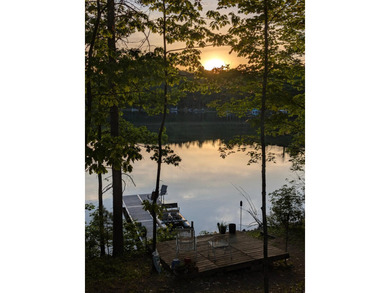 Discover a rare gem on the pristine shores of Vandercook Lake in - photo 44