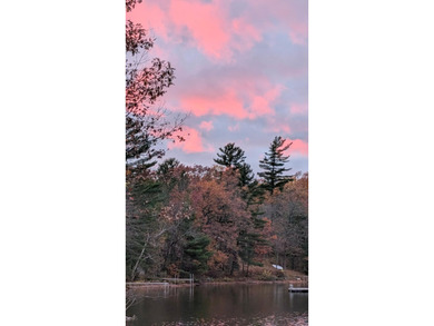Discover a rare gem on the pristine shores of Vandercook Lake in - photo 46